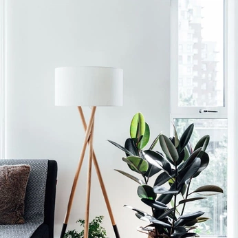 A cover of "Living Inspo" cluster. The owner is kobydev. The cluster consists of 113 elements.