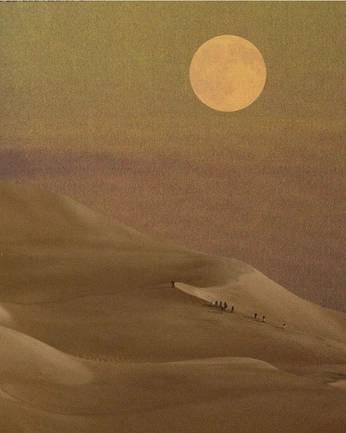 A cover of "paint" cluster. The owner is titouan.raw. The cluster consists of 1 element.