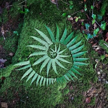 A cover of "Green" cluster. The owner is agustinatesio. The cluster consists of 143 elements.