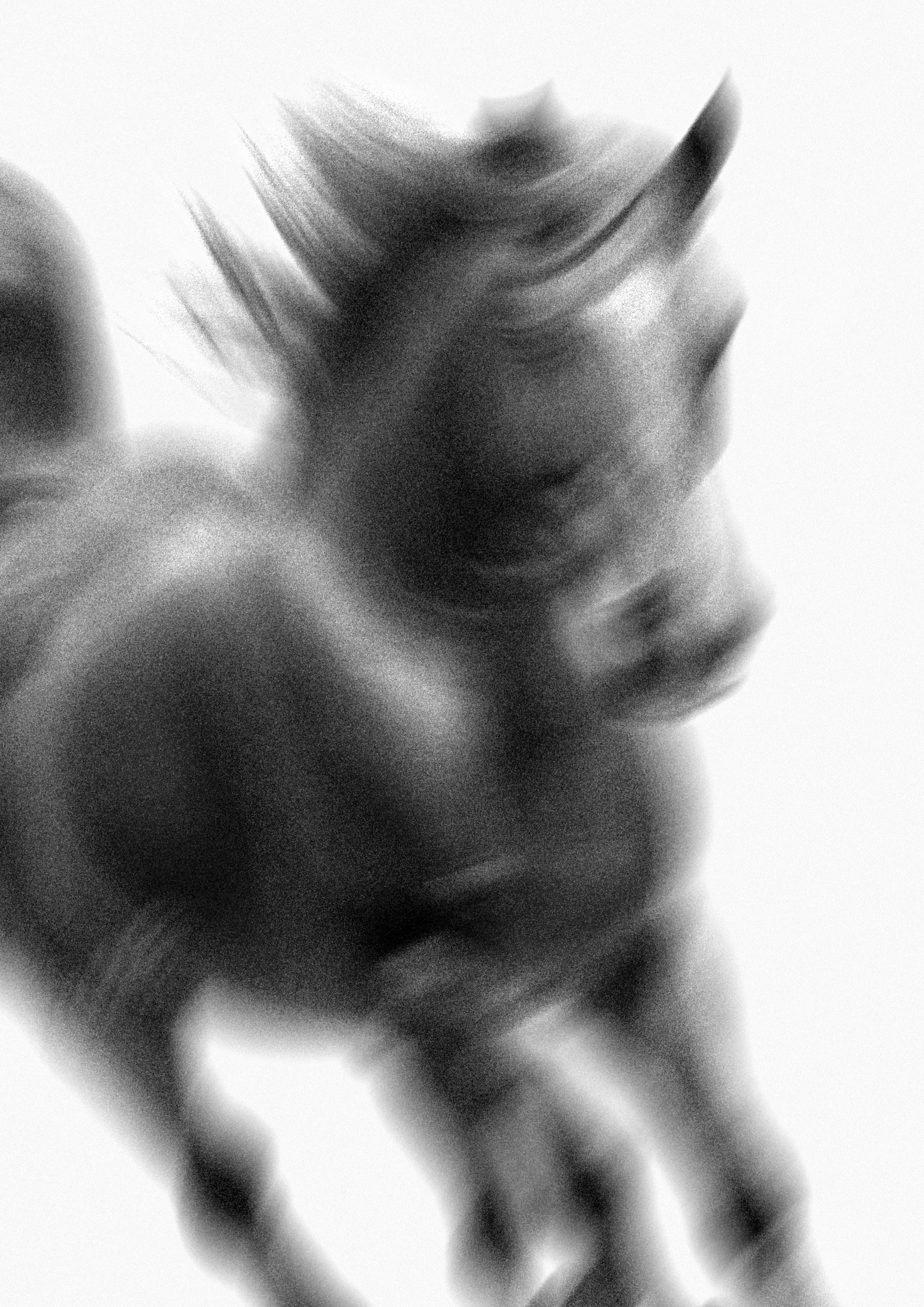 stillness in motion (@discipulus) / Cosmos