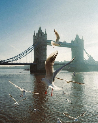 A cover of "TLondon" cluster. The owner is peskybee. The cluster consists of 2 elements.