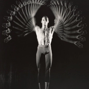 A cover of "combine?" cluster. The owner is brookeriley. The cluster consists of 2 elements.