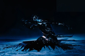 A cover of "Court of Owls" cluster. The owner is castillo. The cluster consists of 5 elements.