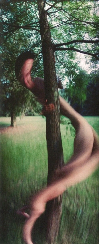 A cover of "last straw" cluster. The owner is termoconvettore. The cluster consists of 44 elements.