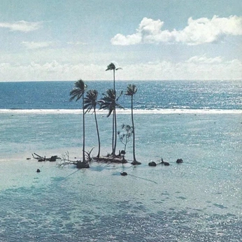 A cover of "ocean" cluster. The owner is natureseye. The cluster description is "for everything located in,  and around the deep blue". The cluster consists of 205 elements.