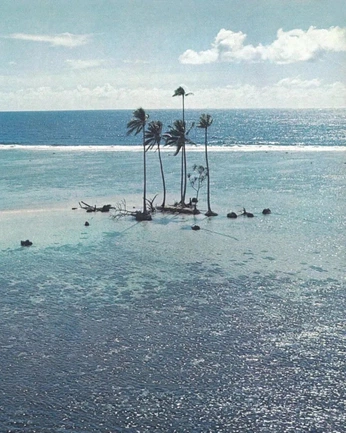 A cover of "Air caraibes" cluster. The owner is ines.cazaux. The cluster consists of 17 elements.