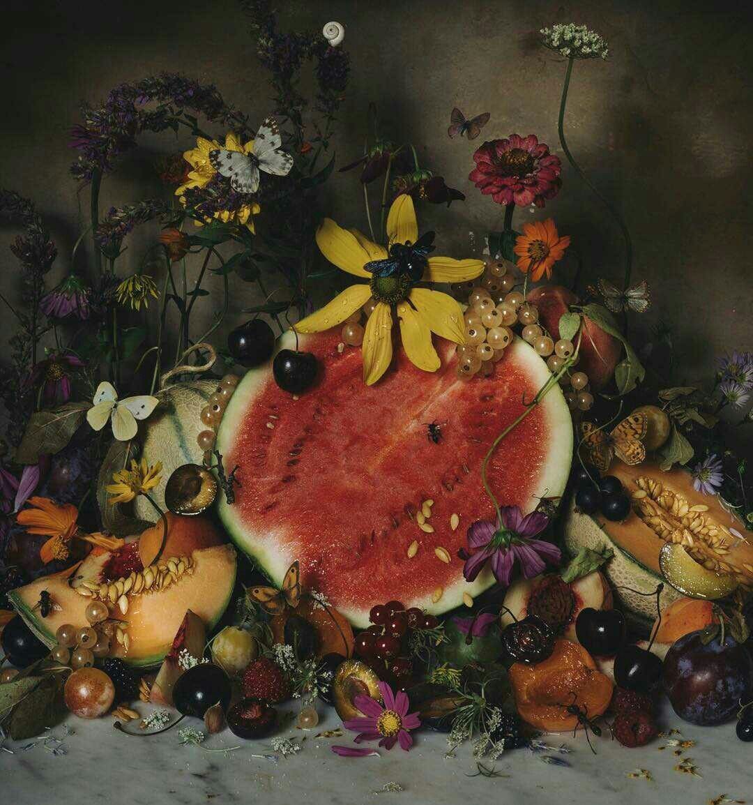 A Pinterest pin added by syylwiia on Apr 15, 2025. The author is @syylwiia. May present: jamie beck still life, still life, art, painting, flowers and fruit.