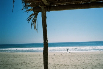 A cover of "Mexico Analog (2023)" cluster. The owner is christoopher. The cluster consists of 17 elements.