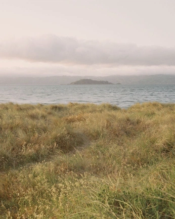 A cover of "western coastal" cluster. The owner is evajoy. The cluster consists of 22 elements.