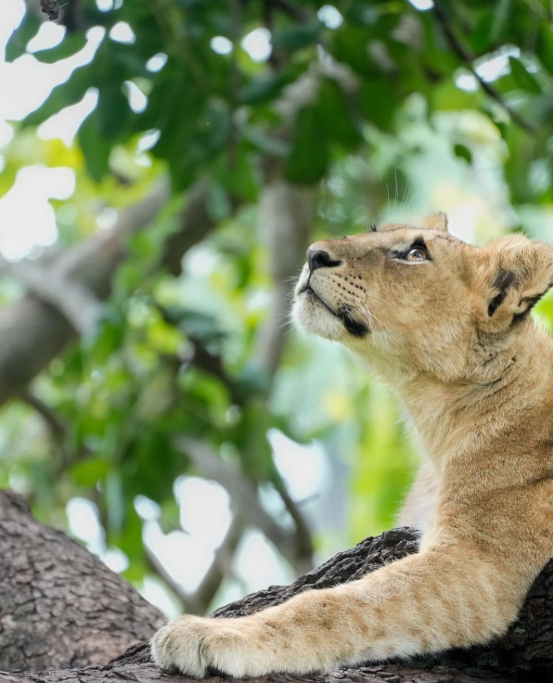 An Instagram carousel post added by annie on Apr 08, 2024. The author is @brenden_simonson.