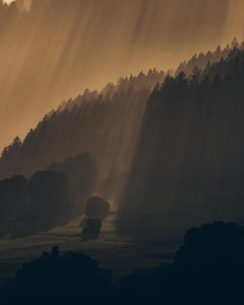 A cover of "TCC" cluster. The owner is s0105j. The cluster consists of 33 elements.