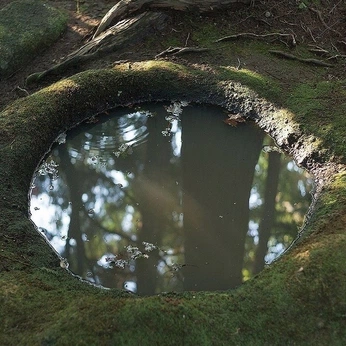 A cover of "PP02: Made by the trees" cluster. The owner is callenfish. The cluster consists of 12 elements.