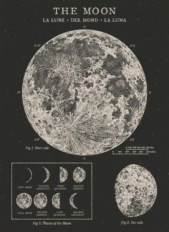 A cover of "Full Moon" cluster. The owner is rebeccasadr. The cluster consists of 1 element.