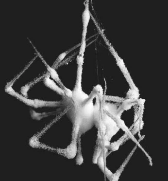 A cover of "(ARCHIVED) 032C" cluster. The owner is jbkrauss. The cluster consists of 84 elements.