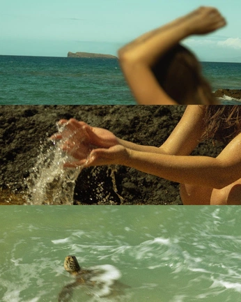 A cover of "la mer" cluster. The owner is zunzhine. The cluster consists of 17 elements.