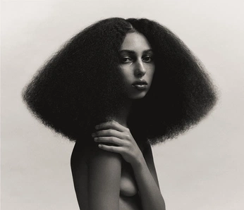 A cover of "SHOOT IDEAS" cluster. The owner is lydiaharouna. The cluster consists of 64 elements.