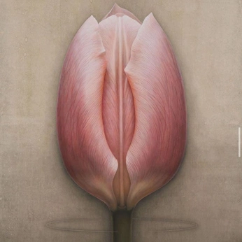 A cover of "Flowers" cluster. The owner is rusjamarusja. The cluster consists of 1 element.