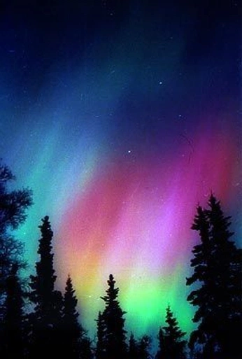 A cover of "tree ideas" cluster. The owner is autumnghoul. The cluster consists of 13 elements.