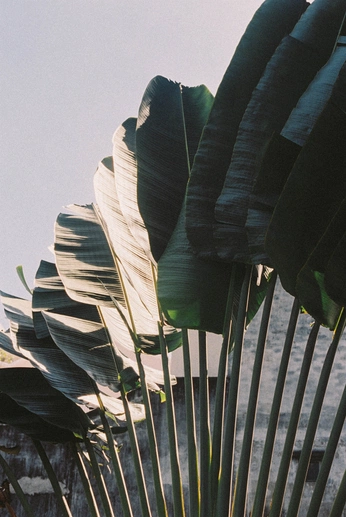 A cover of "Phone" cluster. The owner is rebeccafrederick. The cluster consists of 4 elements.