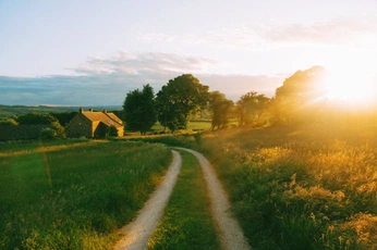 A cover of "nature" cluster. The owner is irinapepsicola. The cluster consists of 204 elements.