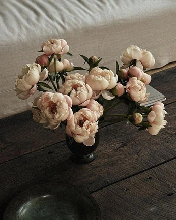 A cover of "fleur" cluster. The owner is lindalilou. The cluster consists of 31 elements.