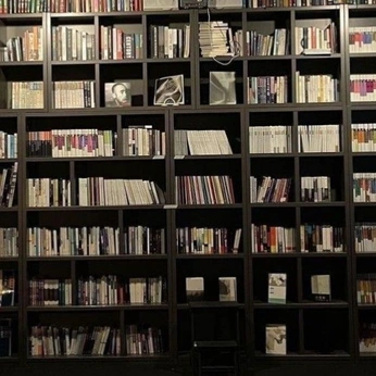 A cover of "S T U D Y" cluster. The owner is idk0020505. The cluster consists of 183 elements.