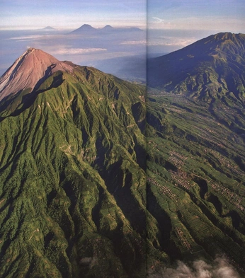 A cover of "THR" cluster. The owner is leeway.studio. The cluster consists of 42 elements.