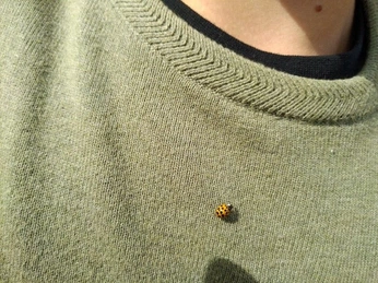 A cover of "everyday shit" cluster. The owner is samet14. The cluster consists of 16 elements.