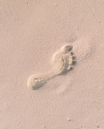 A cover of "infographie" cluster. The owner is laitaunid. The cluster consists of 2 elements.