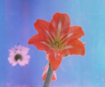 A cover of "visuals" cluster. The owner is josefadorenv. The cluster consists of 6 elements.