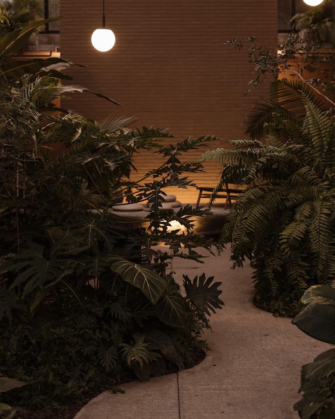 An Instagram  post added by jacquelyn on Feb 17, 2024. The author is @margarita.concept. May present: night, margarita concept garden, plant, nature, leaf.