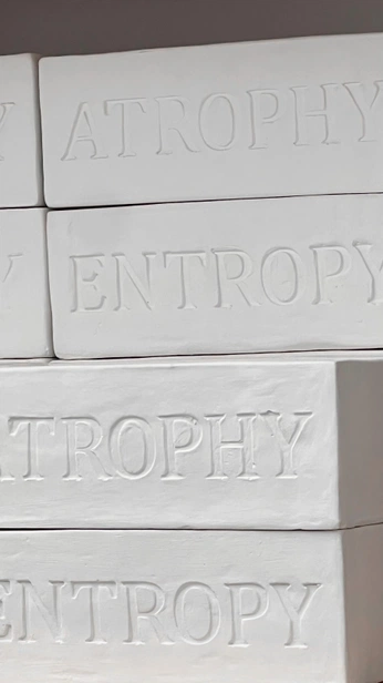 A cover of "Type" cluster. The owner is yaoja02. The cluster consists of 13 elements.