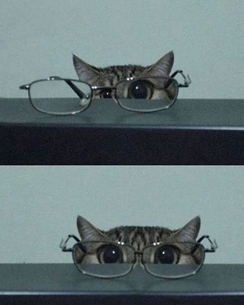 A cover of "pop up myself" cluster. The owner is anyew. The cluster consists of 8 elements.