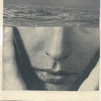 A cover of "corte" cluster. The owner is ternura. The cluster consists of 51 elements.