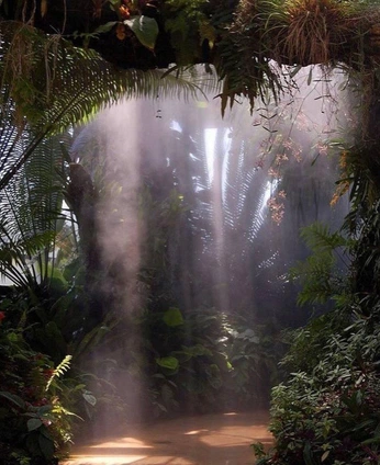 A cover of "Set inspiration" cluster. The owner is ilan1. The cluster consists of 8 elements.