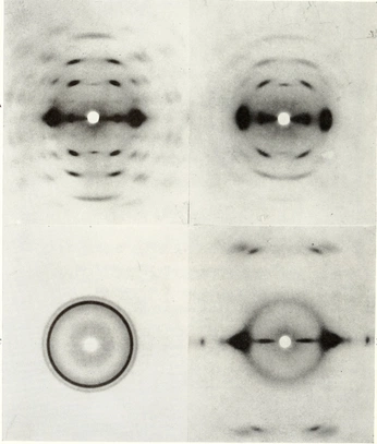A cover of "photo" cluster. The owner is whoiscami. The cluster consists of 3 elements.