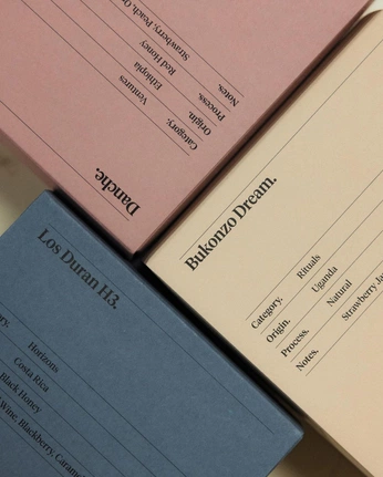 A cover of "Anthropic" cluster. The owner is sophiegaten. The cluster consists of 28 elements.