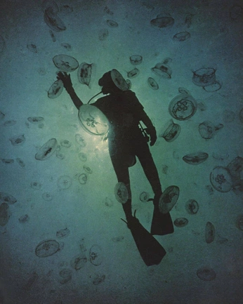 A cover of "badjao community" cluster. The owner is 6marta. The cluster consists of 57 elements.