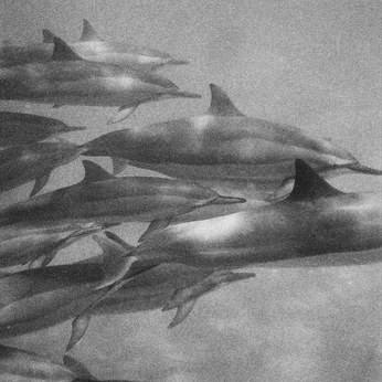 A cover of "/EarthAngels/" cluster. The owner is indigoskies. The cluster consists of 39 elements.