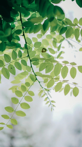 A cover of "Painting Watercolor" cluster. The owner is riversgrace. The cluster consists of 220 elements.