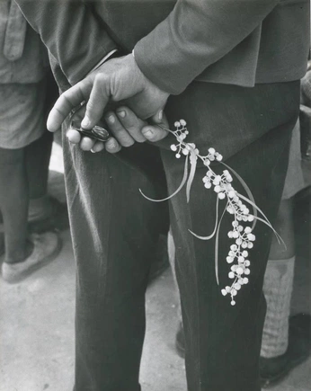 A cover of "Wedding_Party_Story" cluster. The owner is supervisoreko. The cluster consists of 5 elements.