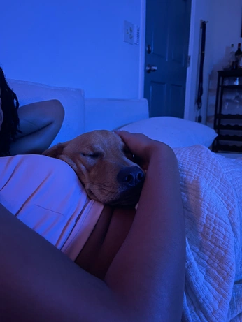 A cover of "Taylrmadehousesits" cluster. The owner is taylrmade. The cluster consists of 13 elements.