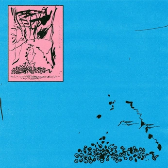 A cover of "‘" cluster. The owner is aquapink. The cluster description is "vibes/insp". The cluster consists of 9 elements.