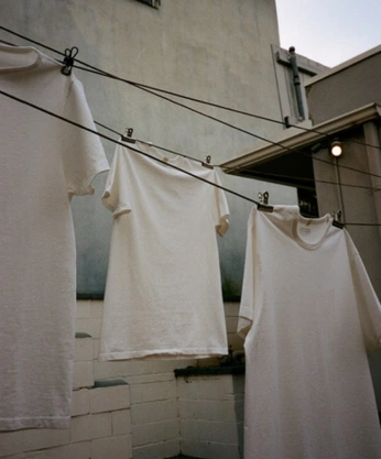 A cover of "衣" cluster. The owner is a113141022. The cluster consists of 50 elements.