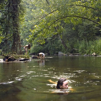 A cover of "free treasure" cluster. The owner is hrblove. The cluster consists of 29 elements.