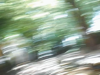 A cover of "vids" cluster. The owner is sarar. The cluster consists of 1 element.