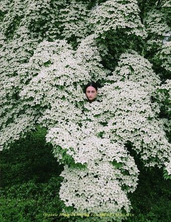 A cover of "Wise Wolves - Base Scent" cluster. The owner is co002as. The cluster consists of 65 elements.