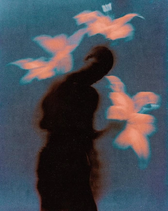 A cover of "cyanotype" cluster. The owner is maellepingwin. The cluster consists of 4 elements.