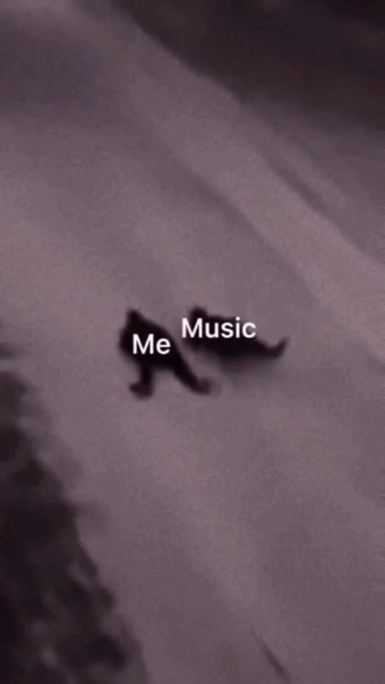 A cover of "relatable" cluster. The owner is creamycheese. The cluster consists of 264 elements.