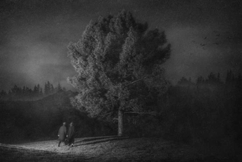 A cover of "tree" cluster. The owner is olgalo. The cluster consists of 5 elements.